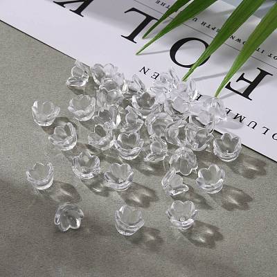 Transparent Acrylic Beads X-PL548-1-1