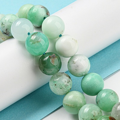 Natural Chrysoprase Beads Strands G-P503-10MM-03-1