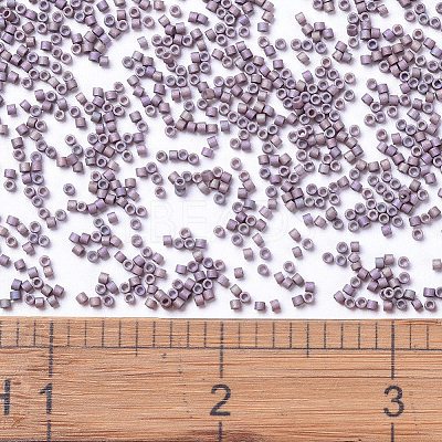 MIYUKI Delica Beads X-SEED-J020-DB1064-1