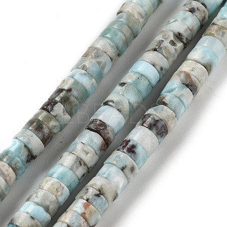 Natural Larimar Beads Strands G-Q024-B03-04-1