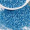 MIYUKI Round Rocailles Beads X-SEED-G007-RR0573-1