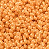 Glass Seed Beads SEED-L011-04A-06-3