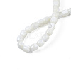 Natural Trochid Shell/Trochus Shell Beads Strands X-SSHEL-N034-121-B01-4