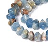 Natural Blue Calcite Beads Strands G-N327-05-29-3