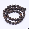 Natural Bronzite Beads Strands G-D745-10mm-2