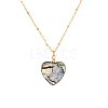 Paua Shell Heart Pendant Necklaces NO8770-3