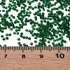 15/0 Transparent Czech Glass Seed Beads SEED-N004-004-08-6
