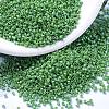 MIYUKI Delica Beads SEED-X0054-DB0163-1