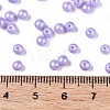 Glass Seed Beads SEED-T007-01I-4