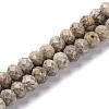 Natural Conch Fossil Beads Strands G-K380-A41-01-1
