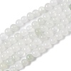Natural Tianshan Cui Quartzite Beads Strands X-G-B046-01E-1