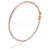 925 Sterling Silver Wire FIND-PH0008-40RG-1