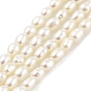 Natural Cultured Freshwater Pearl Beads Strands PEAR-P062-22-2