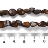 Natural Soil Opal Beads Strands G-P497-01C-13-5