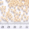 6/0 Baking Paint Glass Round Seed Beads SEED-S036-01C-19-3