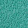 MIYUKI Round Rocailles Beads SEED-X0055-RR0571-3