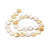 Natural Yellow Shell Beads Strands SSHEL-G023-10A-2
