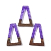 Resin & Wood Pendants WOOD-F015-10H-1