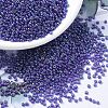 MIYUKI Round Rocailles Beads X-SEED-G007-RR1020-1
