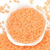 6/0 Luminous Glass Seed Beads X1-SEED-NH0001-01E-4