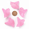 Transparent Acrylic Beads BSF796-C10-5