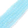 Electroplate Glass Beads Strands EGLA-A034-J3mm-L06-1