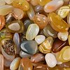 Dyed & Heated Natural Agate Beads G-J402-03C-02-2