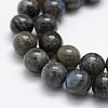 Natural Labradorite Beads Strands G-P322-31-12mm-3