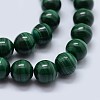 Natural Malachite Beads Strands G-F571-27AA2-6mm-3
