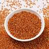 Cylinder Seed Beads X-SEED-H001-G10-3