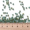 TOHO 8/0 Round Beads SEED-JPTR08-1014-4