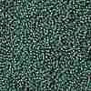 TOHO Round Seed Beads SEED-XTR11-0308-2