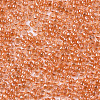 Glass Seed Beads SEED-S042-11A-03-3