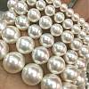 Shell Pearl Beads Strands BSHE-E008-14mm-12-2