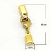 Clip Ends With Lobster Claw Clasps X-KK-G144-G-1