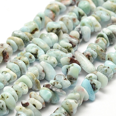 Natural Larimar Beads Strands G-P302-03-1