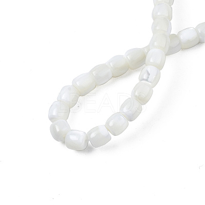 Natural Trochid Shell/Trochus Shell Beads Strands X-SSHEL-N034-121-B01-1