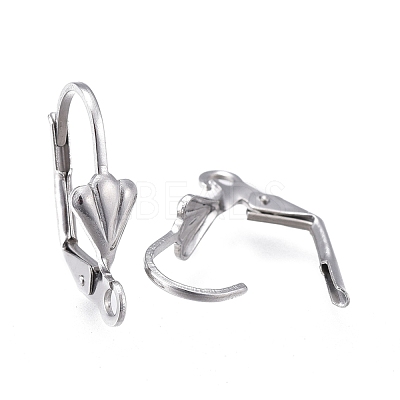 Tarnish Resistant 304 Stainless Steel Leverback Earring Findings X-STAS-K198-02P-1