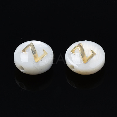 Natural Freshwater Shell Beads SHEL-S278-036Z-1