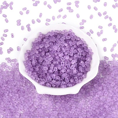 FGB Frosted Transparent Glass Seed Beads SEED-N013-06A-07-1