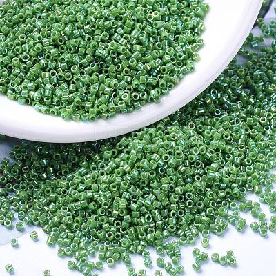MIYUKI Delica Beads SEED-X0054-DB0163-1
