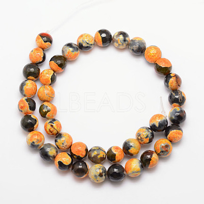 Natural Fire Crackle Agate Bead Strands X-G-K166-06F-10mm-02-1