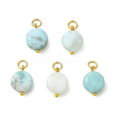 Natural Larimar Pendants PALLOY-JF05999-1