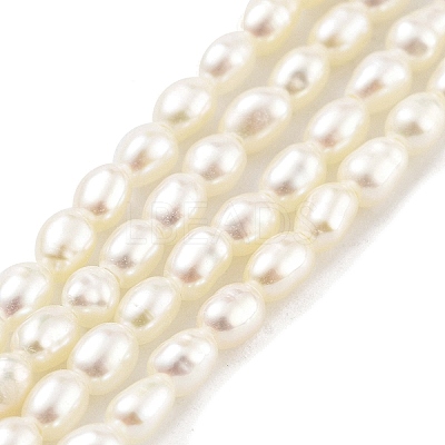 Natural Cultured Freshwater Pearl Beads Strands PEAR-P062-22-1