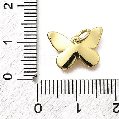 Brass Enamel Charms KK-Z093-07G-02-1