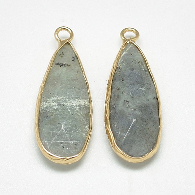 Natural Labradorite Pendants G-Q494-55C-1