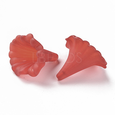 Transparent Acrylic Beads BSF796-C12-1