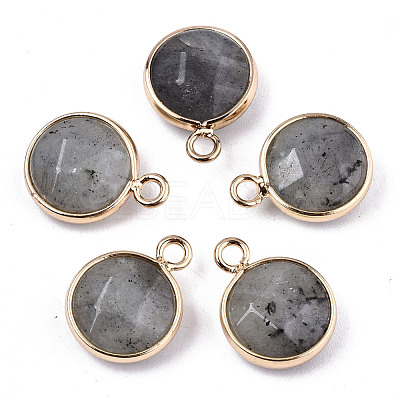 Gemstone Pendants G-T131-101-1