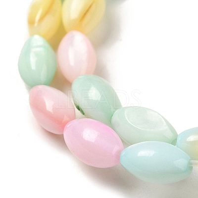 Rainbow Color Dyed Natural Freshwater Shell Beads Strands X1-SHEL-G018-02H-1