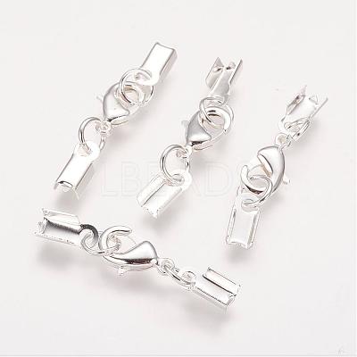 Silver Color Plated Brass Clip Ends X-KK-G144-S-1